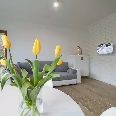 Willowa Aparthotel Szczyrk